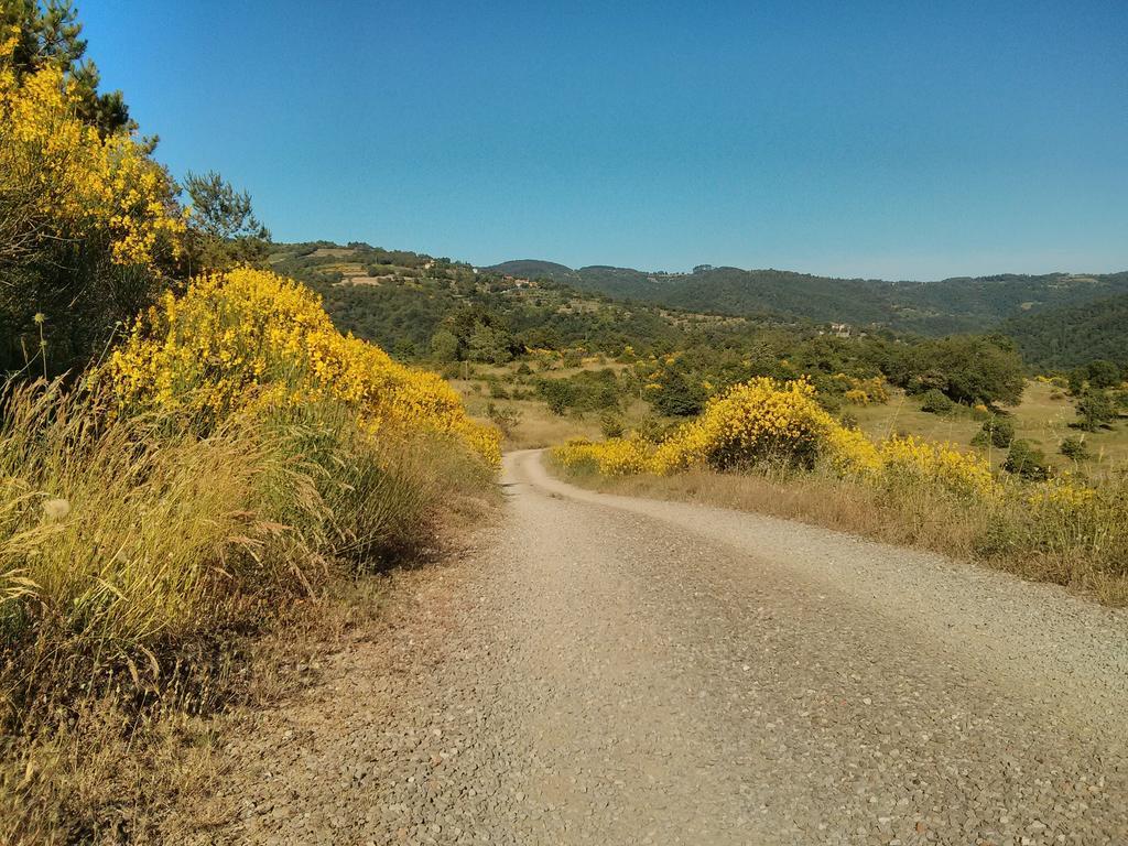 Forte Di Tregognano Chiaveretto Ruang foto